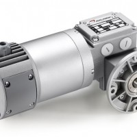 Mini Motor 蝸輪蝸桿減速電機，帶行星減速器：單相或三相