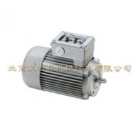 Minimotor電子變送器RM 220E技術參數