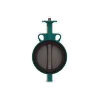 瑞士interApp蝶閥  球閥   優勢供應