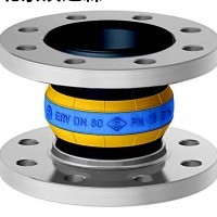 Elaflex ERV-GS HNBR DN 150.16膨脹節1 Elaflex ERV-GS HNBR DN 150.16膨脹節1
