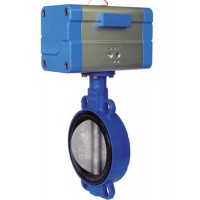 DVC International電動執行器型號簡介