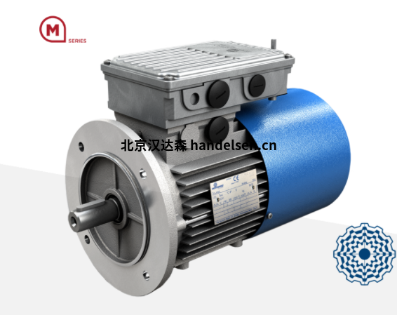 Motovario三相電機TP系列200LA型號 Motovario三相電機TP系列200LAA型號