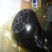 德國Brinkmann Pumps臥式端吸泵SBA、SBAS-V、SBG、SBGS-V、SBM