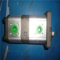 西班牙Roquet鋁齒輪泵和電機從 4 到 26，66 cc/rev |LZ - 低噪音系列
