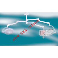 Ondal懸架系統