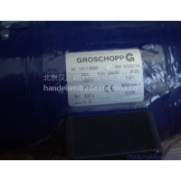 GROSCHOPP馬達產品詳細介紹