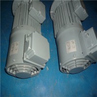 VEM滑環電機VEM K21R 180 L4 TWS HW選型指導