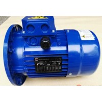 漢達森專業銷售MarelliMotori電機-意大利