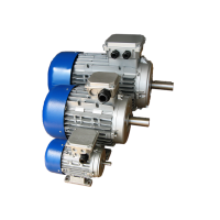 意大利MT MOTORI三相電機TN71B/4用于罐頭行業機器