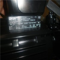 德國BRINKMANN工業泵原廠直供