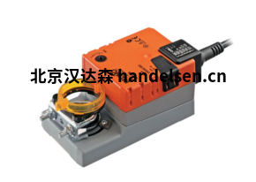 Belimo 球閥 R209AC 工業球閥 R2 R3 R6 系列球閥 BELIMO圖片