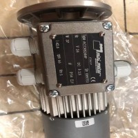 Mini Motor單向電機，異步電機系列展示