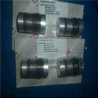 原裝進口R+W聯軸器LKP