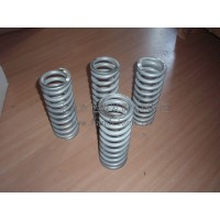 Gutekunst精密彈簧D-122A-10廣泛應用在印刷機械，高精密機床