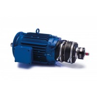 HEW 特殊應用電機產品介紹