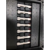 Maxon Motor 有刷DC電機  RE系列  直徑6 – 65毫米，0.3 – 250瓦