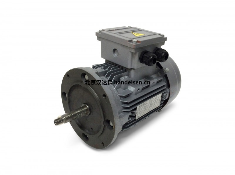 Electramo IE3高效率三相電機 Electramo IE3高效率三相電機