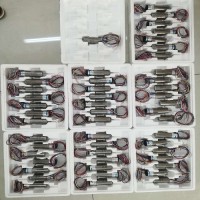 maxon有刷直流電機DC-max系列DC-max 22