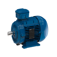 emwb  Elektromotorenwerk Brienz AG標準發動機