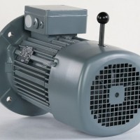 VEM制動電機IE2-W21R 80 K2  多應用鋼鐵和軋機行業