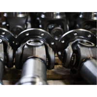 WiCHMANN100系列聯軸器M免維護交叉關節