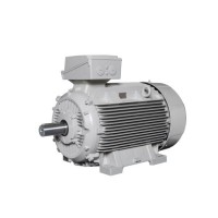 Lammers防爆電機 1TZ9002-0BA6效率等級：IE2、IE3