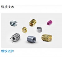 Bossard 提供多種不同類型的螺母，墊圈，螺釘，鉚釘等緊固件