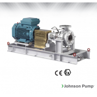 Johnson Pump 重型流程泵，適合化工/石化工業、煉油廠和一般工業應用