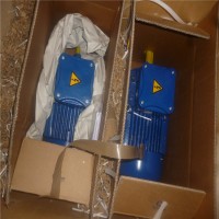 CEMP危險區域制動電機E..DB