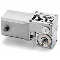 Mini Motor 蝸輪蝸桿直流減速電機BC2000-24MP，永磁直流電，全封閉