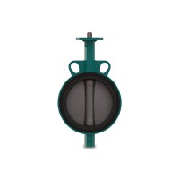 瑞士InterApp蝶閥D10150.23-2KR.41.2AR.E可用于高要求環境