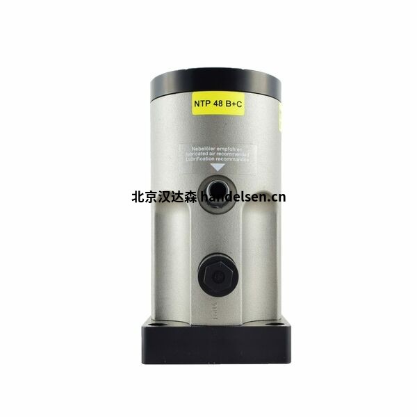 Netter Vibration振動器NTP 48 b+c用于成品磚窯工段鈦白粉制造 csm_NTP-48-BC-01-1024x1024_f3ca6b11c1