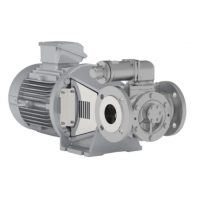Johnson Pump 內嚙合齒輪泵，適用于中等粘度、清潔和非磨蝕性液體