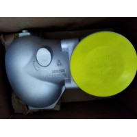 德國GESTRA液位變送器NRGT26-2可用于石油化工行業