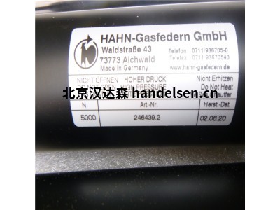 德國Hahn Gasfedern雙沖程氣彈簧G20-40V4-00264用于制藥行業現貨